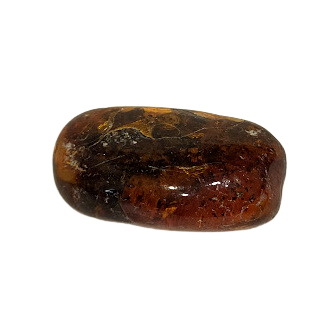 Exclusive Baltic Amber Piece in a Gift Box (5–6 g) 1213201 