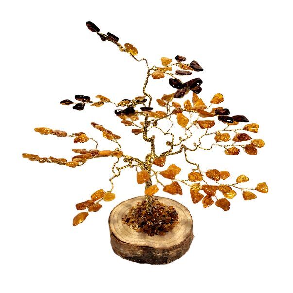 Денежно-янтарное дерево 674502