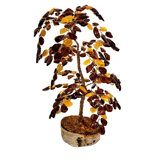 Money-amber tree 675302