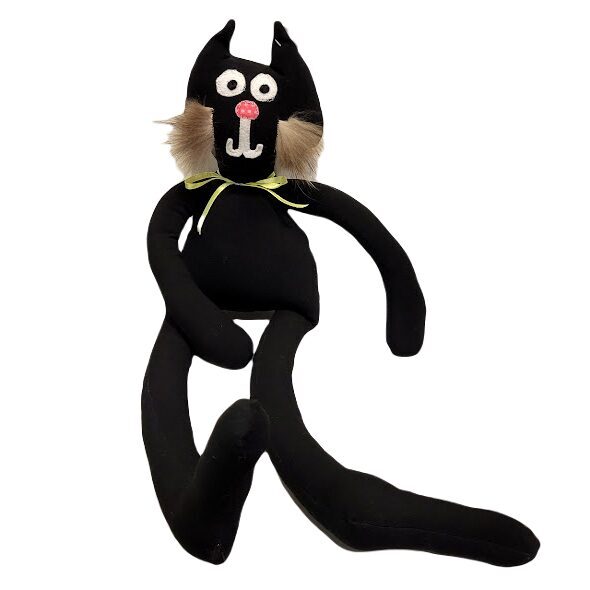 The black cat