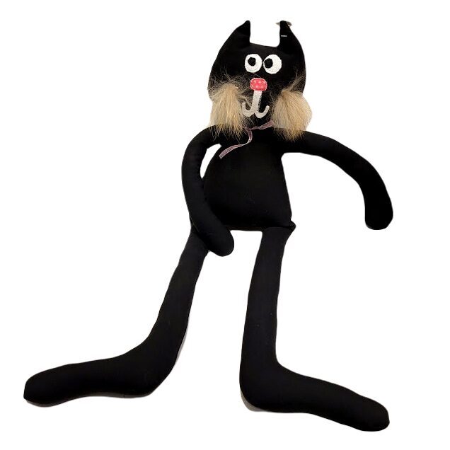 The black cat