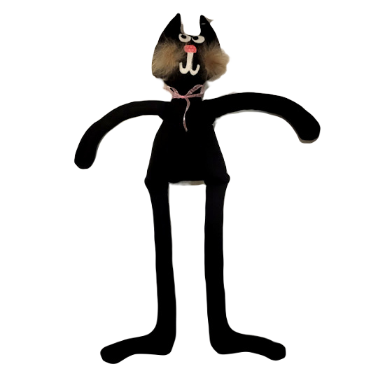 The black cat
