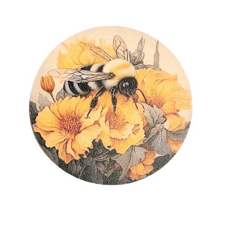 Finiera paliktnis Bites 0513723