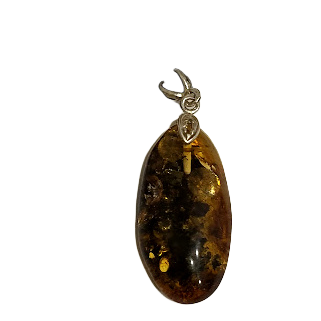 Sudraba un dzintara kulons "Dabas Asara" (35x20 mm)