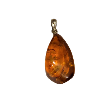 Sudraba un dzintara kulons "Dabas Asara" (30x20 mm)