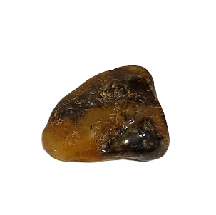 Янтарь, шт. 1204703