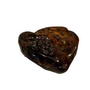 Amber piece 1204704