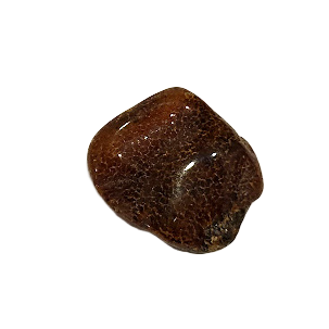 Янтарь, шт. 1204705