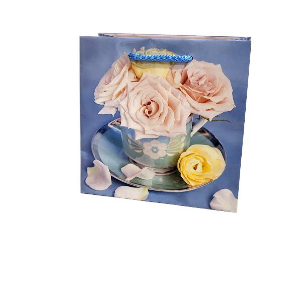 Dāvanu maisiņš  15x15,5x7,5 cm