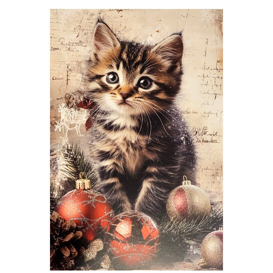 Apsveikumu kartiņa 0519701