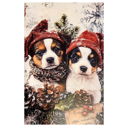 Apsveikumu kartiņa 0519708