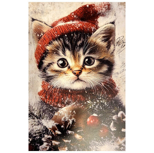 Apsveikumu kartiņa 0519710