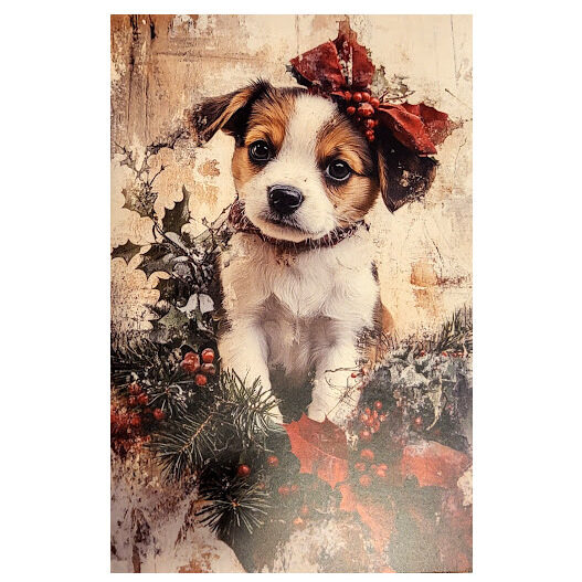 Apsveikumu kartiņa 0519712