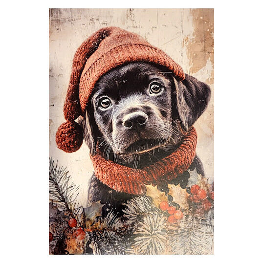 Apsveikumu kartiņa 0519719