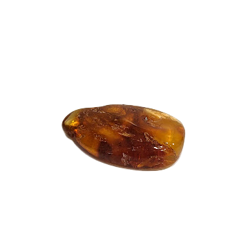 Natural Baltic amber piece (3–4 g) 1213003 
