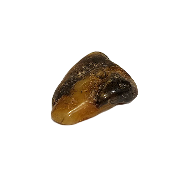 Natural Baltic amber piece (3–4 g) 1213005 
