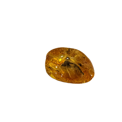 Natural Baltic amber piece (2–3 g) 1212901 