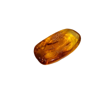 Natural Baltic amber piece (2–3 g) 1212903 