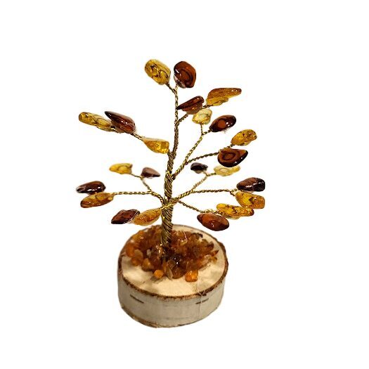 Dzintara laimes un naudas koks (9 cm) 673307