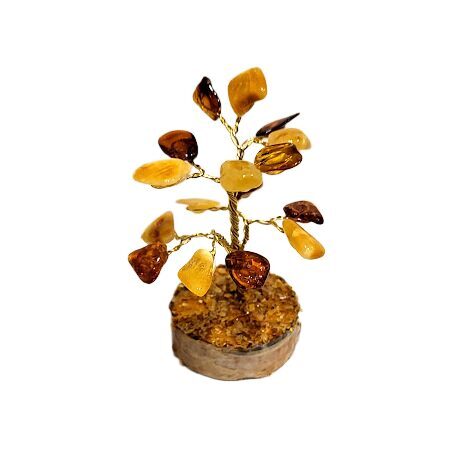 Money-amber tree 673209