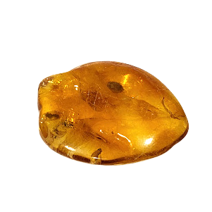 Ekskluzīvs dabīgā Baltijas dzintara gabals dāvanu kastītē (5–6 g) 1213207 