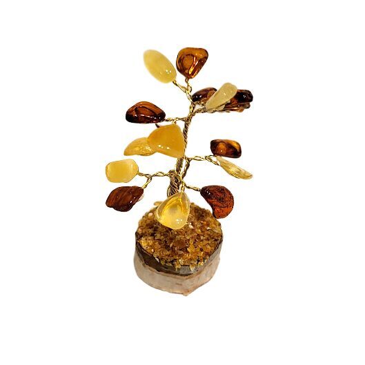 Денежно-янтарное дерево 673211
