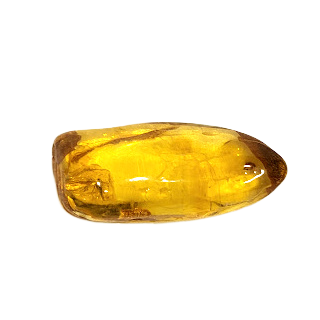 Ekskluzīvs dabīgā Baltijas dzintara gabals dāvanu kastītē (5–6 g) 1213209 