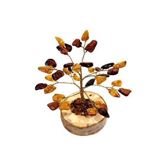 Dzintara koks 673415