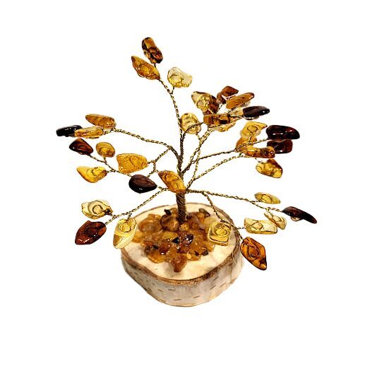 Денежно-янтарное дерево 672801