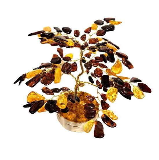 Денежно-янтарное дерево 671107