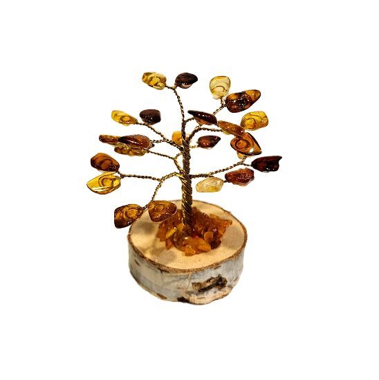 Dzintara laimes un naudas koks (9 cm) 6733001 