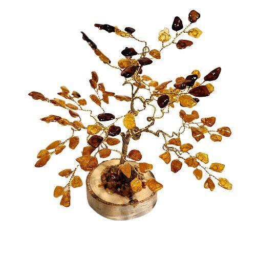 Naudas-dzintara koks 674510