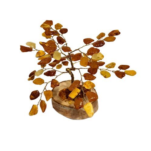 Денежно-янтарное дерево 673710
