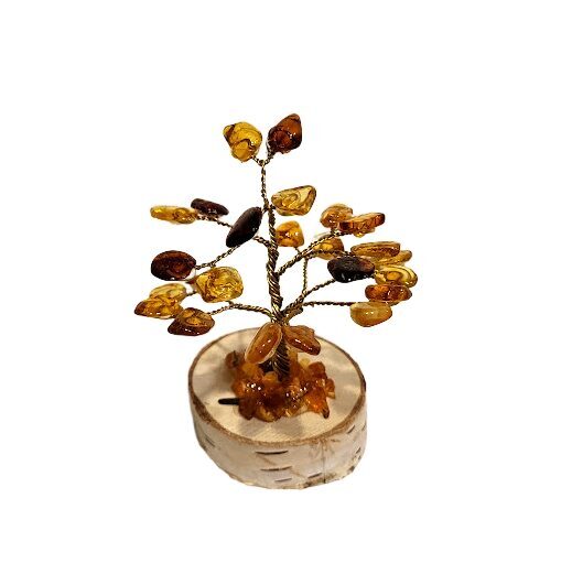 Dzintara laimes un naudas koks (9 cm) 673310 