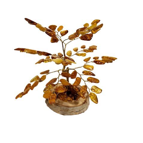 Денежно-янтарное дерево 673711