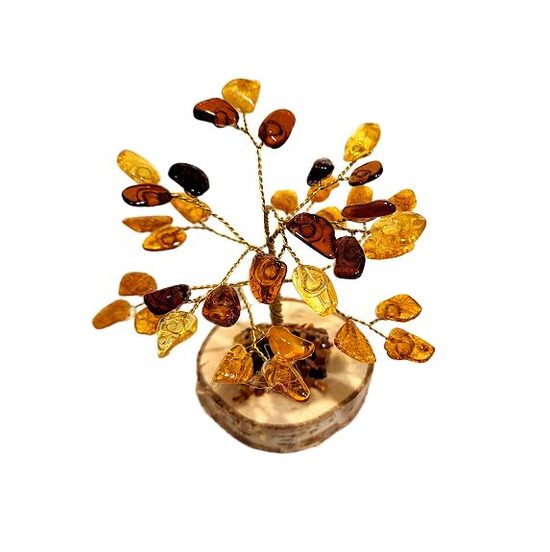 Dzintara koks 673416