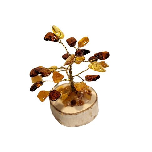 Dzintara laimes un naudas koks (9 cm) 673311 