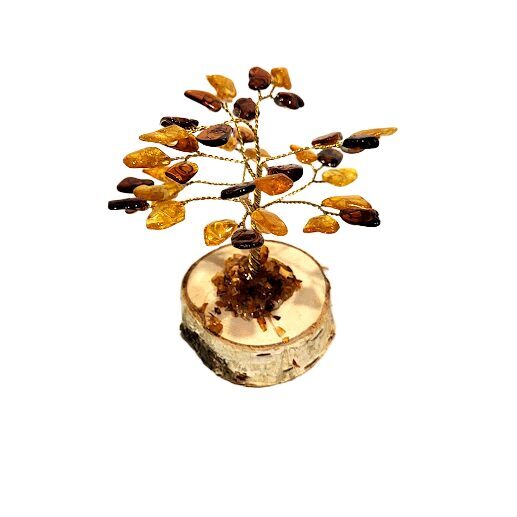 Dzintara koks 673417