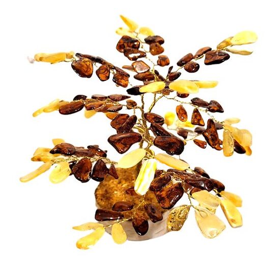 Денежно-янтарное дерево 671109