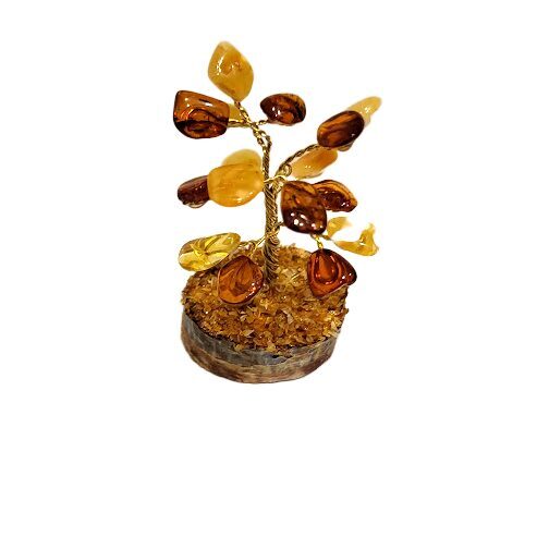 Денежно-янтарное дерево 673203