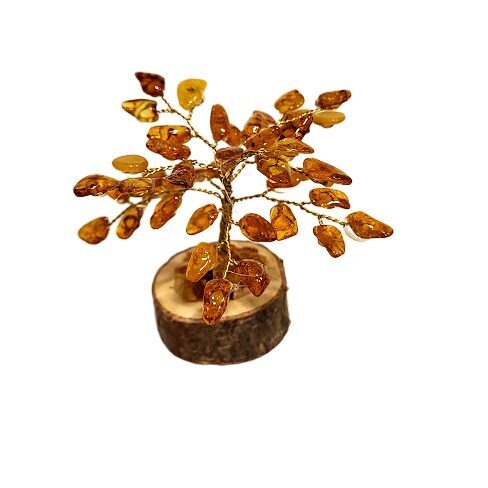 Денежно-янтарное дерево 673402
