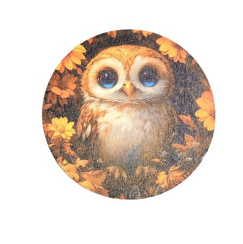 Finiera paliktnis Pūce 0513748