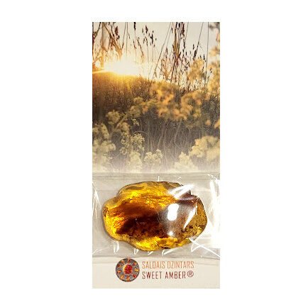 Saldais dzintars 1260114