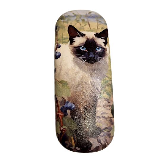 Glasses case 0517301
