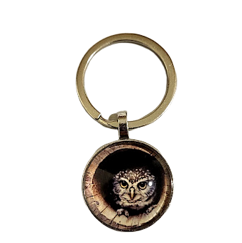Keychain Owl 057220