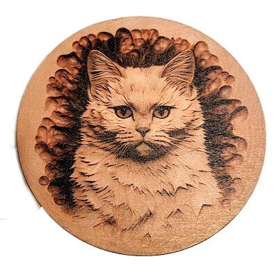 Tray Cat 0513765