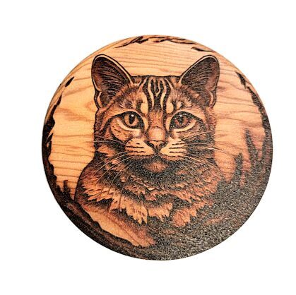Tray Cat 0513766