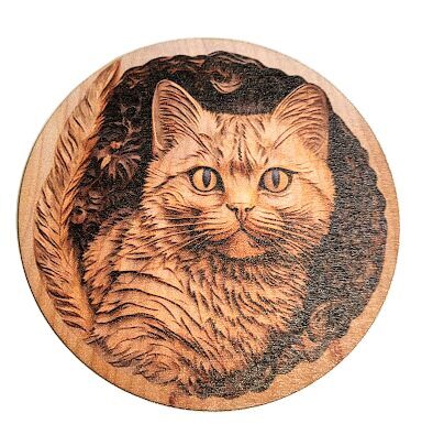 Tray Cat 0513767