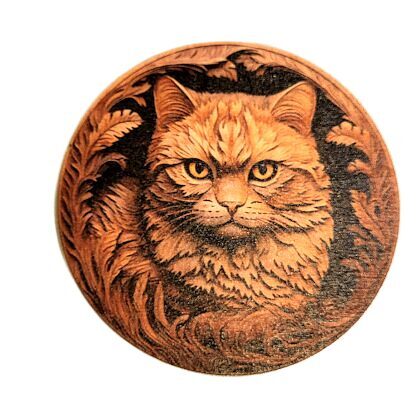 Tray Cat 0513768