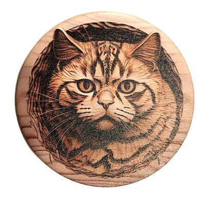 Tray Cat 0513772